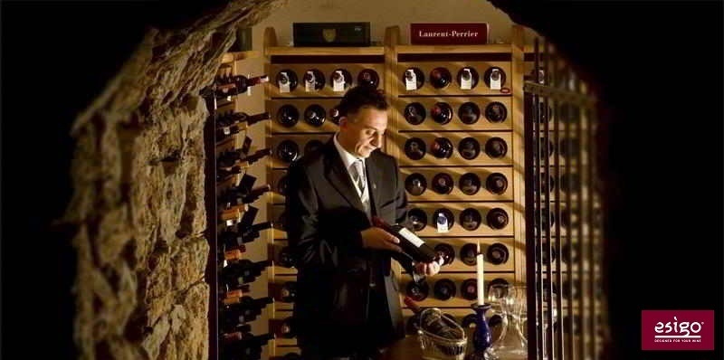 Professional wine cellar furniture